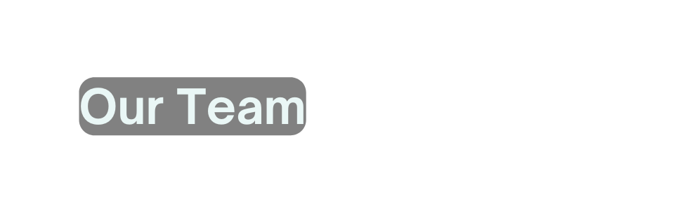Our Team